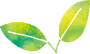 no_image